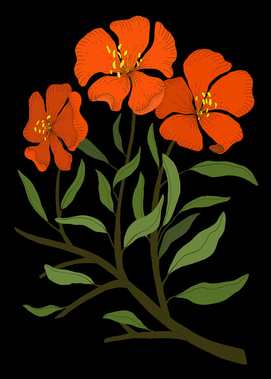 The Orange Flowers Print A3